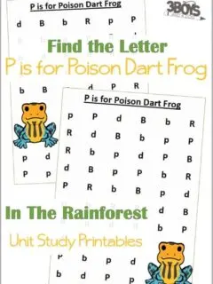 Find the Letter P is for Poison Dart Frog