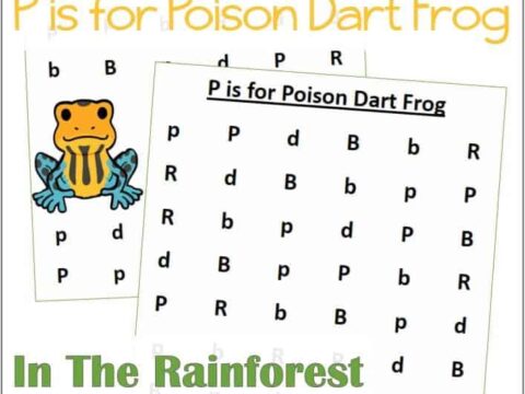 Find the Letter P is for Poison Dart Frog
