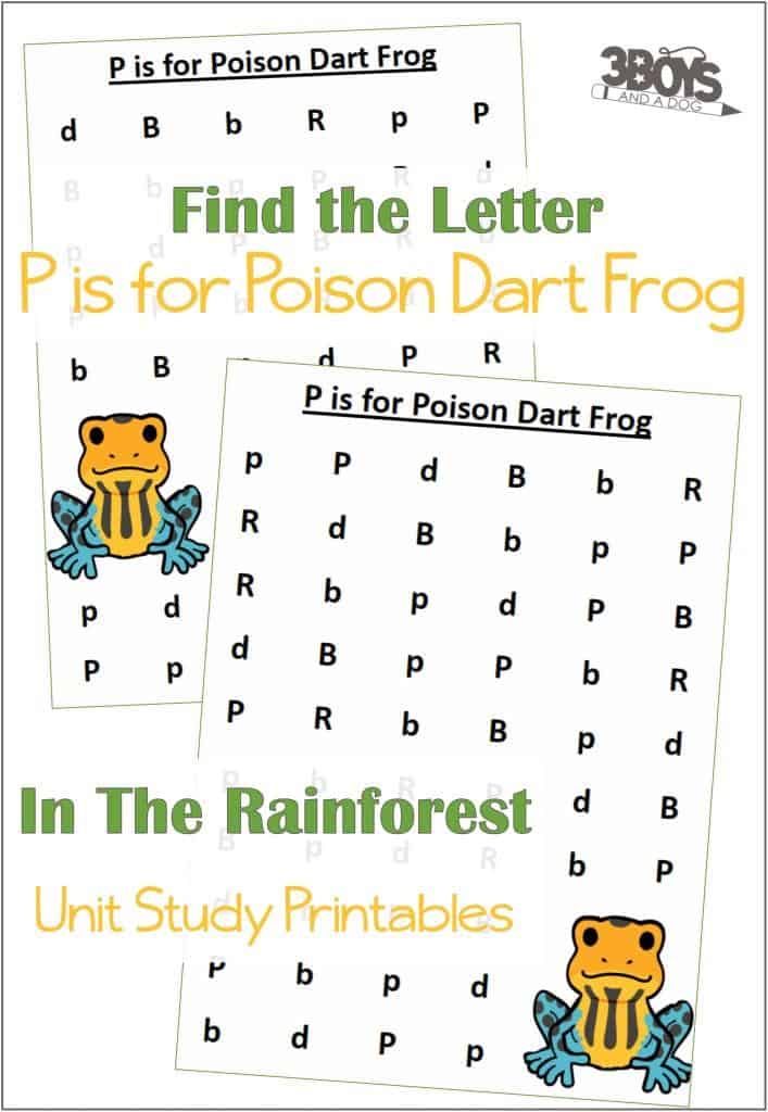 Find the Letter P is for Poison Dart Frog
