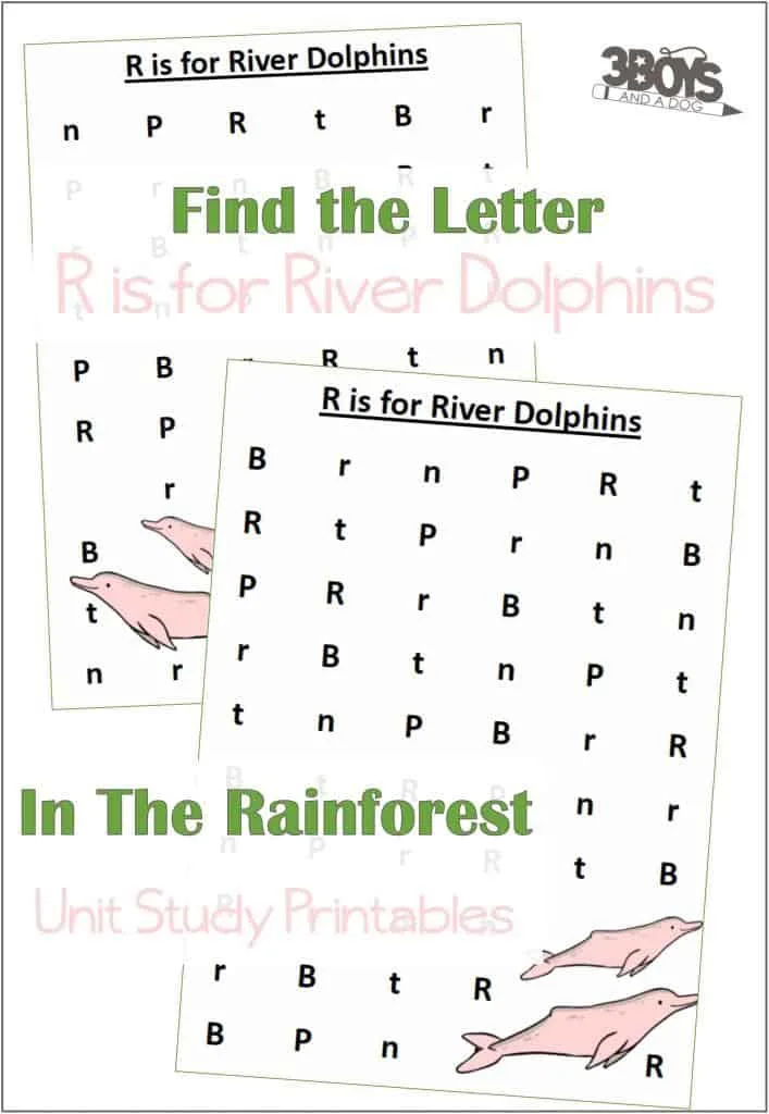 Find the Letter R is for River Dolphins