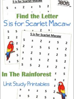 Find the Letter S is for Scarlet Macaw