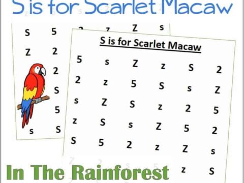 Find the Letter S is for Scarlet Macaw