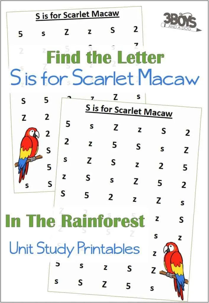 Find the Letter S is for Scarlet Macaw