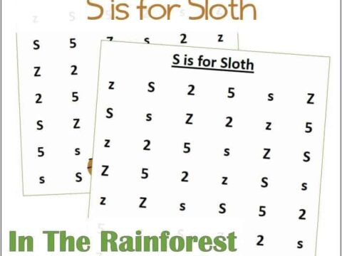 Find the Letter S is for Sloth