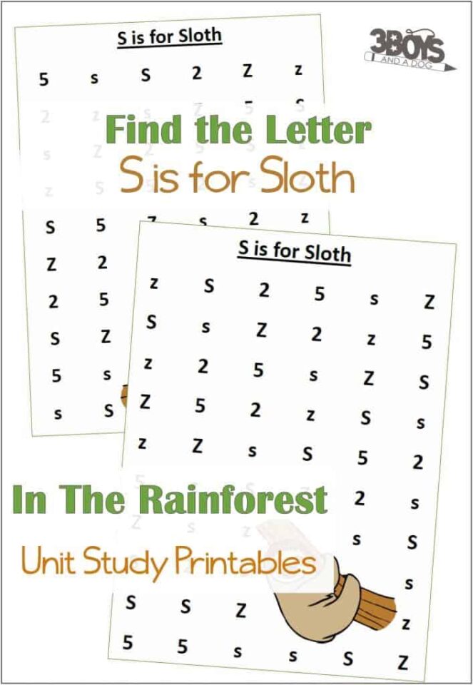 Find the Letter S is for Sloth | Rainforest Unit Study