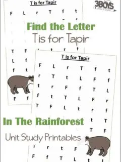 Find the Letter T is for Tapir