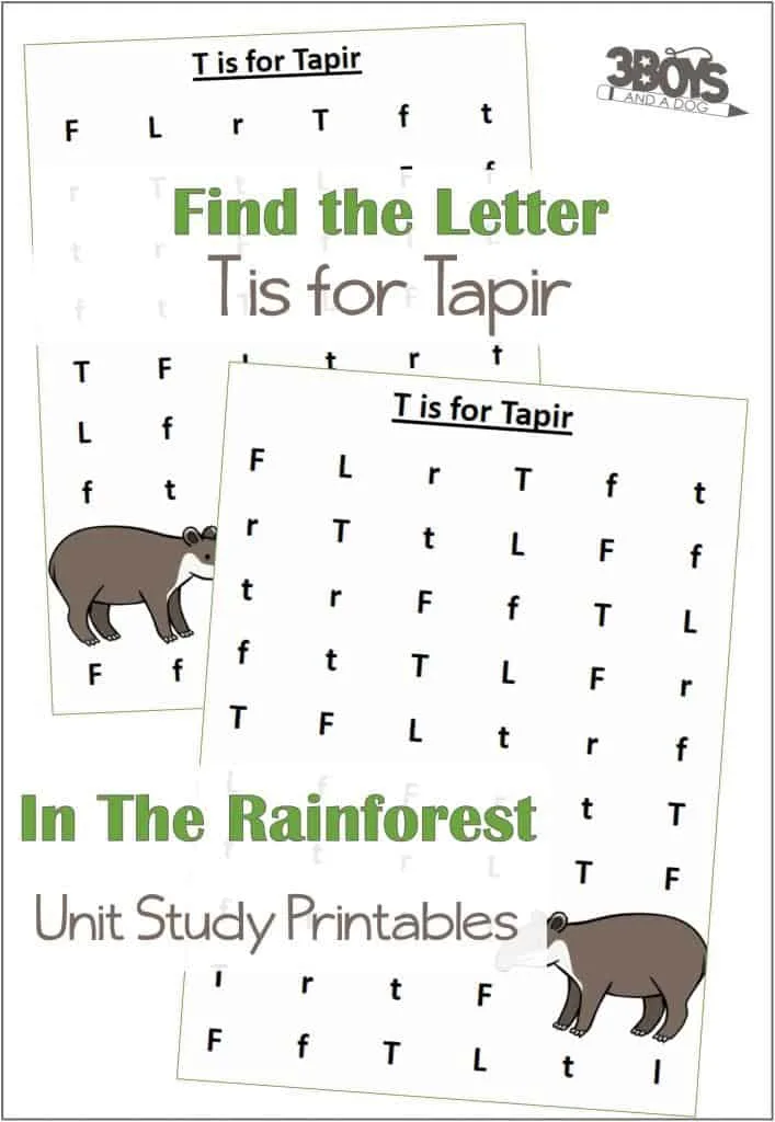 Find the Letter T is for Tapir