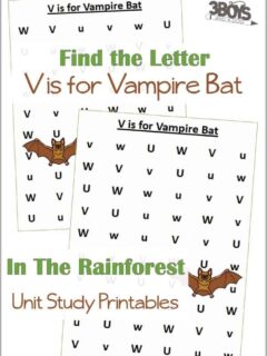 Find the Letter V is for Vampire Bat