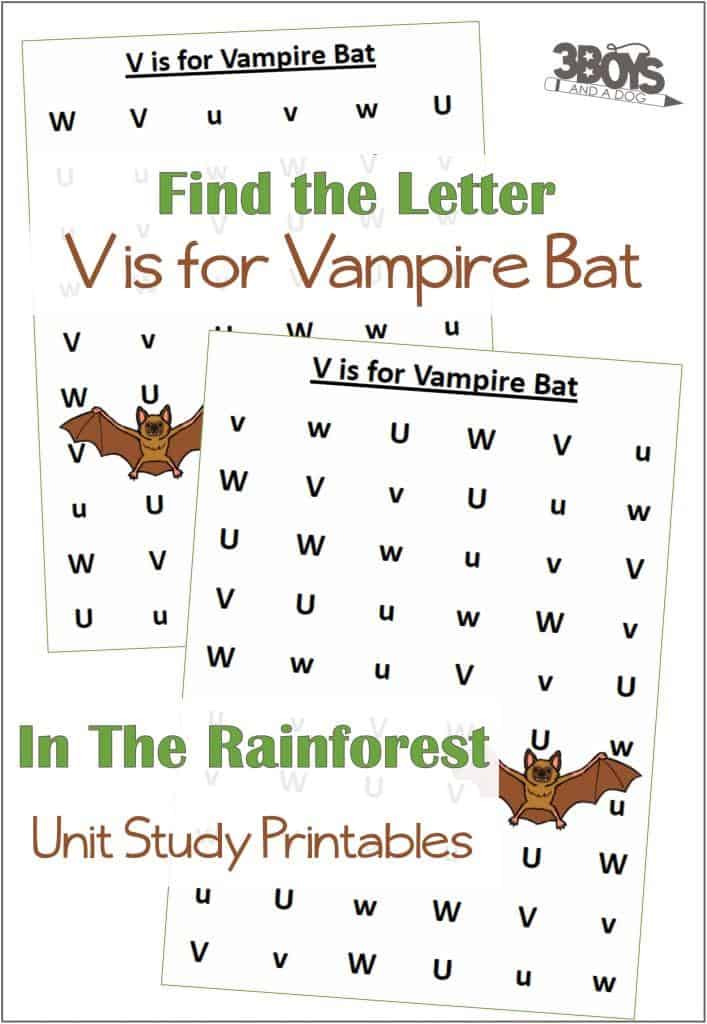 Find the Letter V is for Vampire Bat