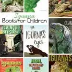 Kids Books about the Iguana