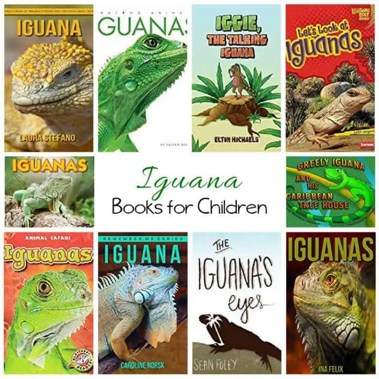 Iguana Books for Children