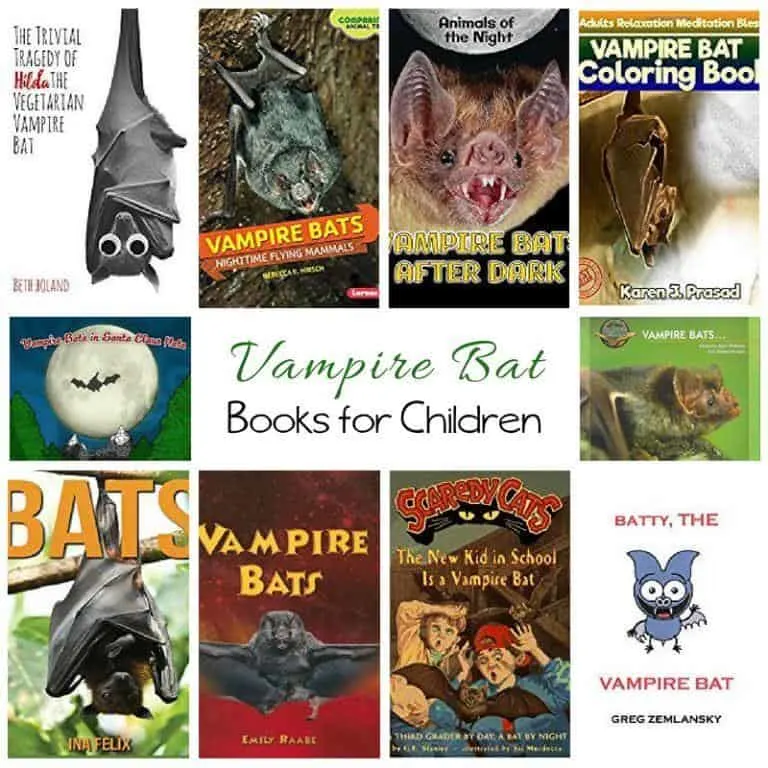 Vampire Bat Books for Children