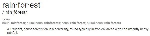 rainforest definition