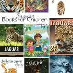 Kids Books about the Jaguar