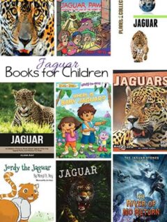 Kids Books about the Jaguar