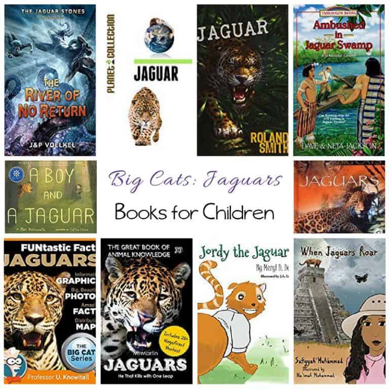 Jaguar Books for Children | Rainforest Unit Study