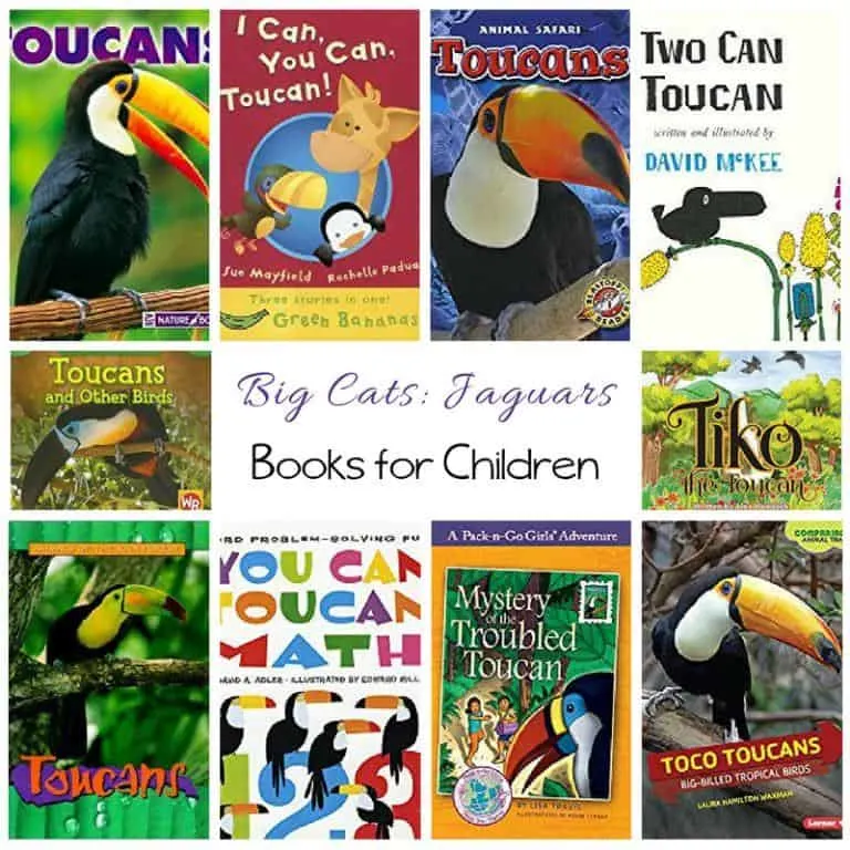 Toucan Books for Children