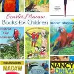 Kids Books about the Scarlet Macaw