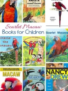 Kids Books about the Scarlet Macaw