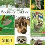 Sloth Books for Kids
