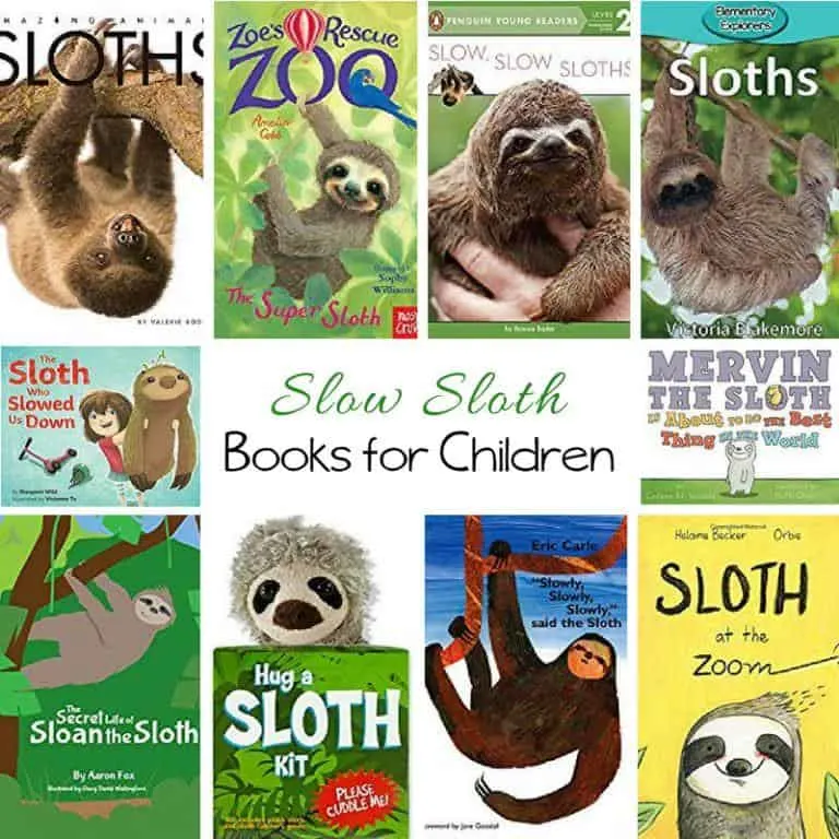 Sloth Books for Children