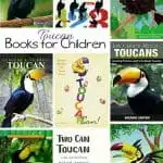 Kids Books about the Toucan