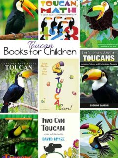 Kids Books about the Toucan