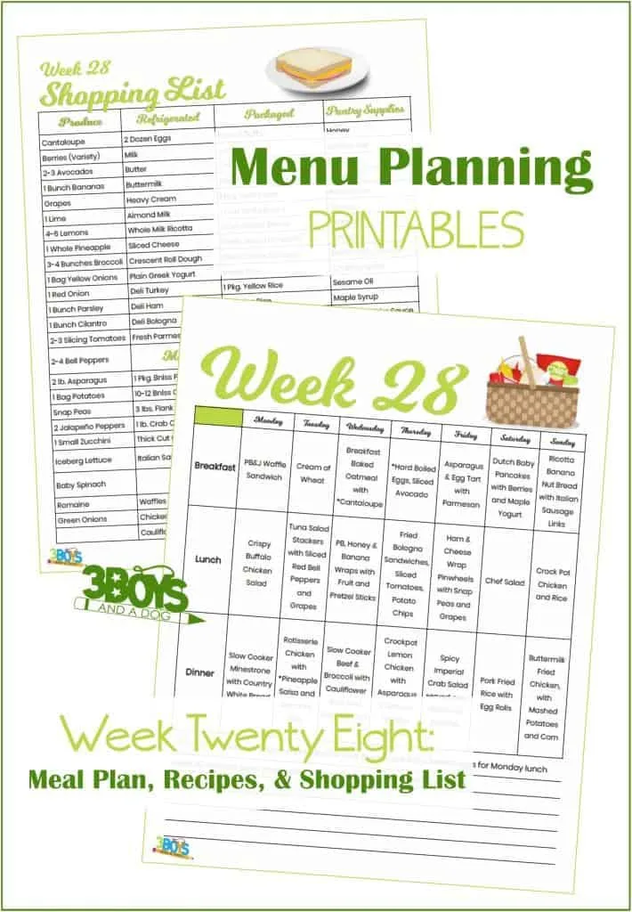 Week Twenty Eight Menu Plan Recipes and Shopping List