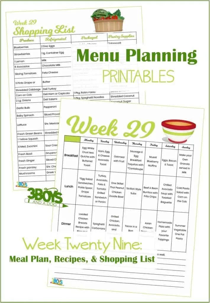 Week Twenty Nine Menu Plan Recipes and Shopping List