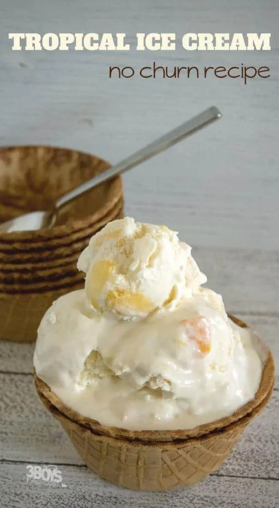 Tropical Ice Cream no churn recipe