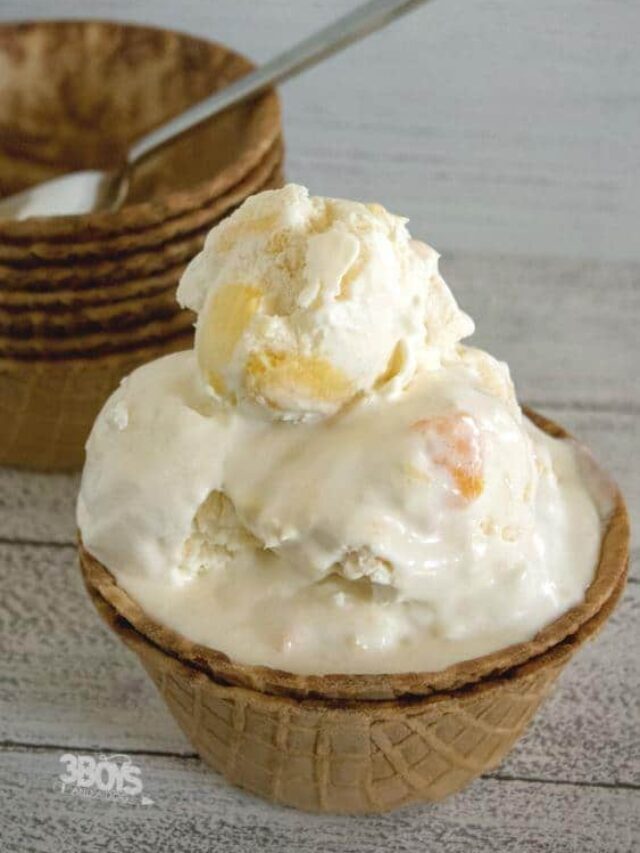 Tropical No Churn Ice Cream Recipe