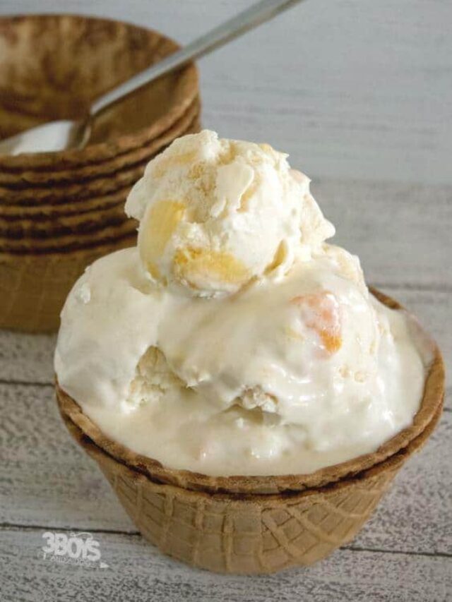 cropped-Tropical-Ice-Cream-no-churn-recipe.jpg