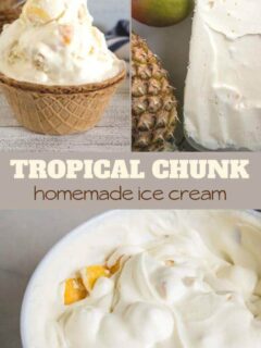 tropical chunk ice cream