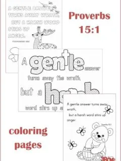 Proverbs 15.1 Coloring Page