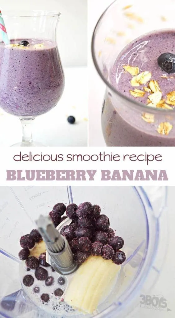 blueberry bliss smoothie with 7 grams of protein