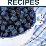 best blueberry recipes