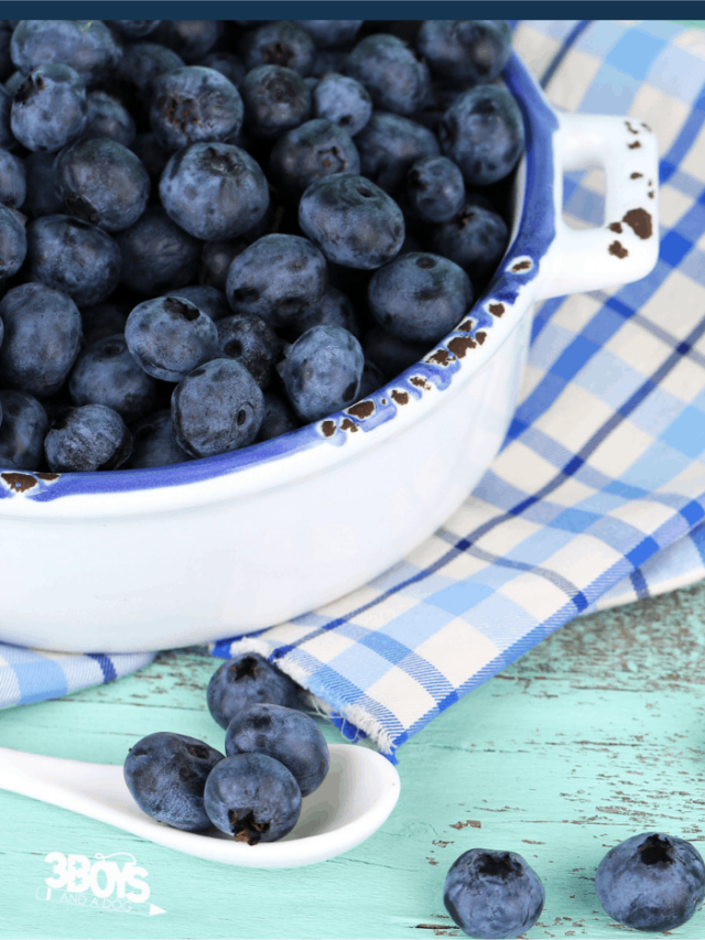 12 of the Best Blueberry Recipes Story