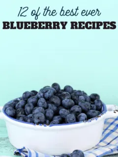 12 of the best ever blueberry recipes
