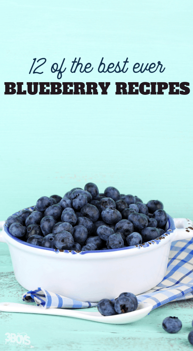 12 of the best ever blueberry recipes