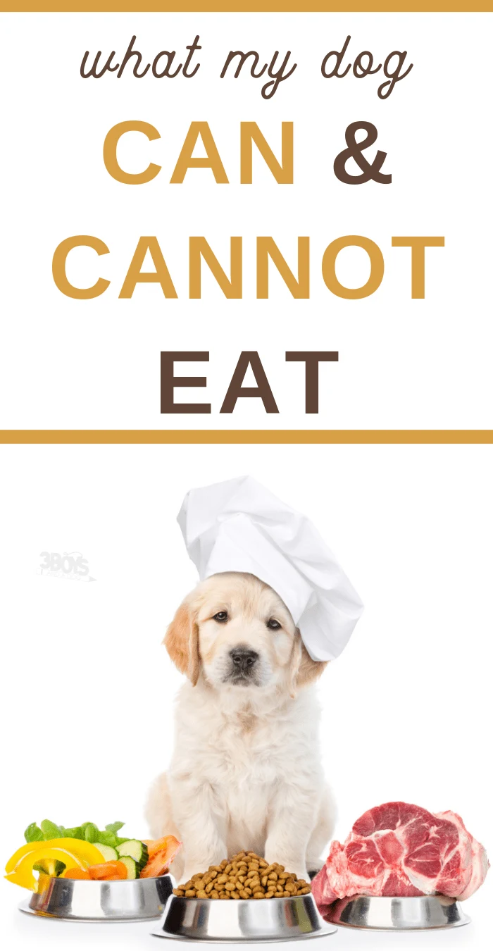 ultimate guide to what dog can and cannot eat