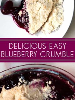 delicious and easy blueberry crumble dessert recipe