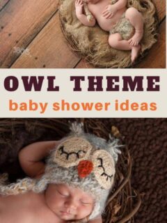 adorable owl themed baby shower