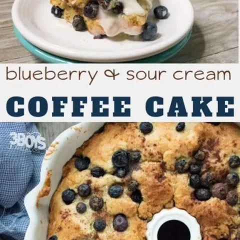 blueberry coffee cake with Streusel filling