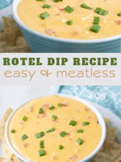 easy dip recipe cheesy tomatoes and green chilies