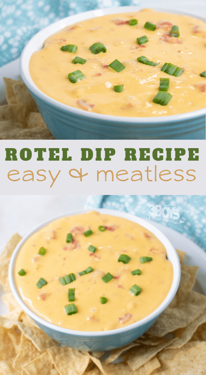 easy dip recipe cheesy tomatoes and green chilies
