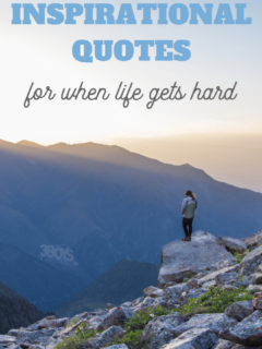 these inspirational quotes can give you a much needed pick me up