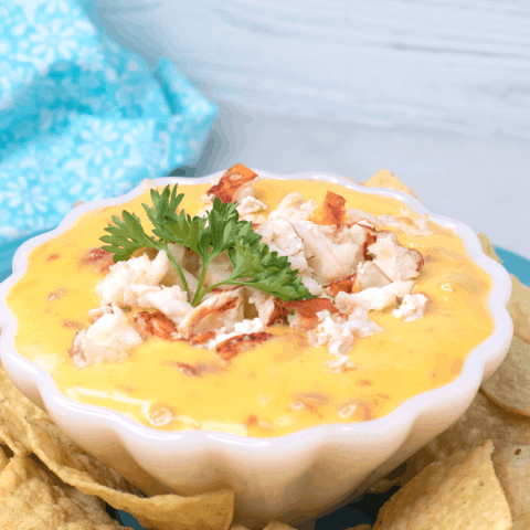simple party recipe of Lobster RoTel Dip