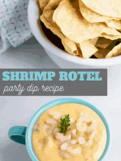 Shrimp RoTel Cheese Dip