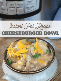instant pot cheeseburger stew with beef and potatoes
