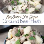 instapot ground beef potato hash recipe